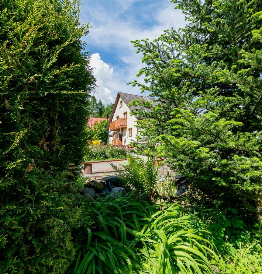 Apartament I Pokoje Goscinne U Lusi Wisła Extérieur photo