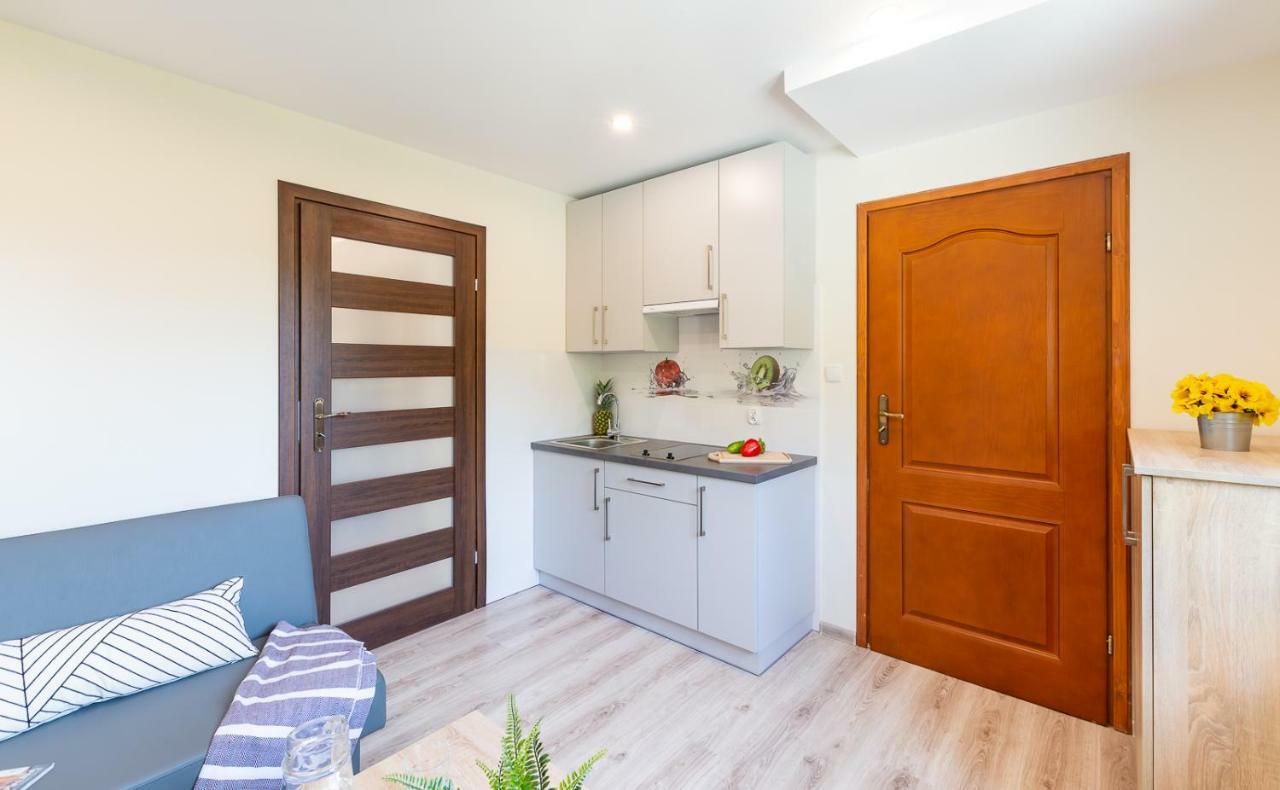 Apartament I Pokoje Goscinne U Lusi Wisła Extérieur photo